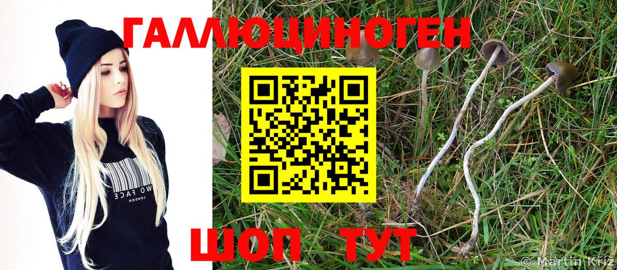Псилоцибиновые грибы мухоморы Псков