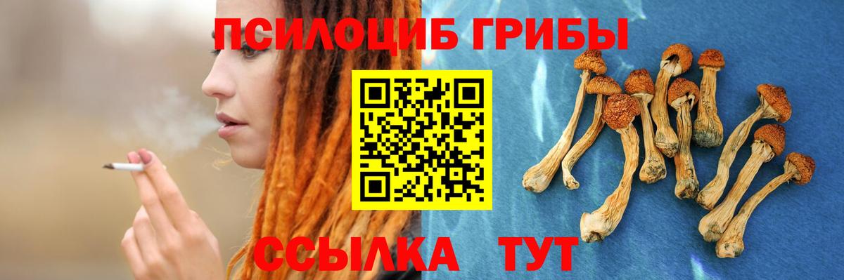 Галлюциногенные грибы Cubensis  Вход с VPN  Псков  Галлюциногенные грибы Cubensis 